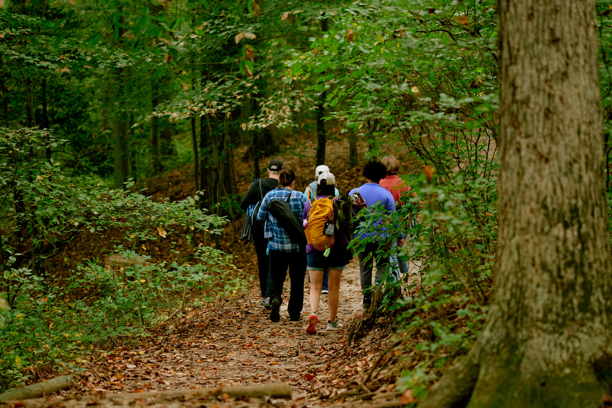 A group of women are seen walking away from the camera into the woods carrying packs. 