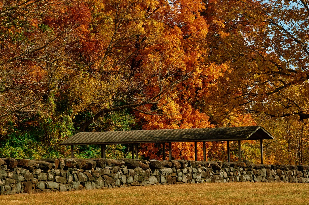 Trees with red, orange and yellow leaves tower over a pavilion, with a stone wall running through the foreground.