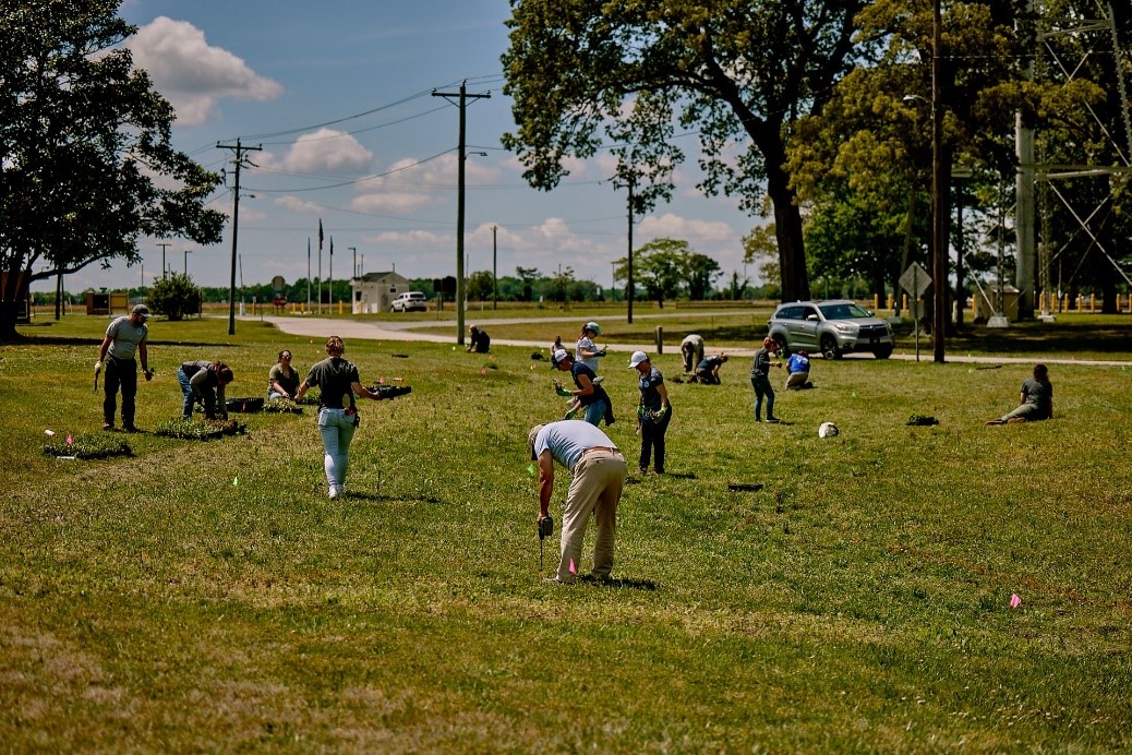 A group of people plant vegetation in an open area.