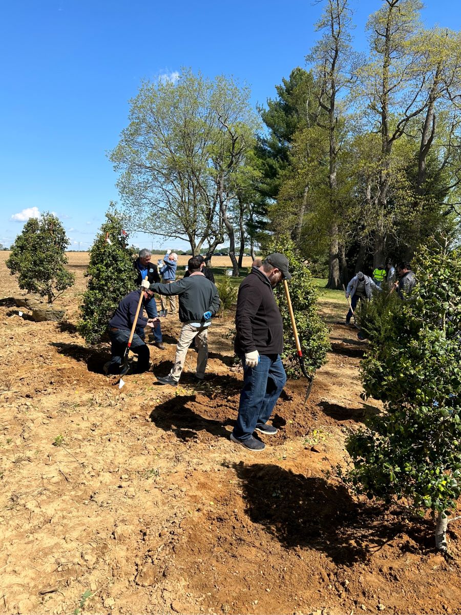 A group plants trees at the edge of a farm field.