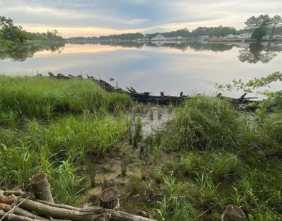 Photo of a living shoreline area.