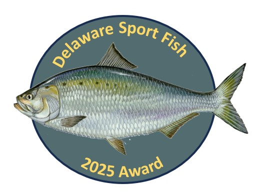 thumbnail image 2 of Darwin Fish Lapel Pin Badge 2 of 13