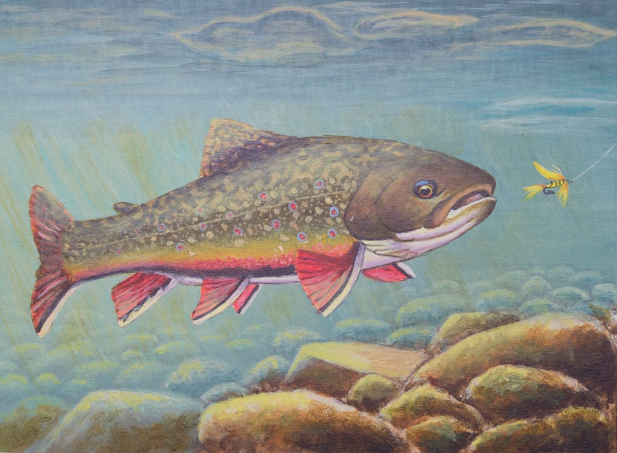 Painting of a a brook trout approaching a fly lure.