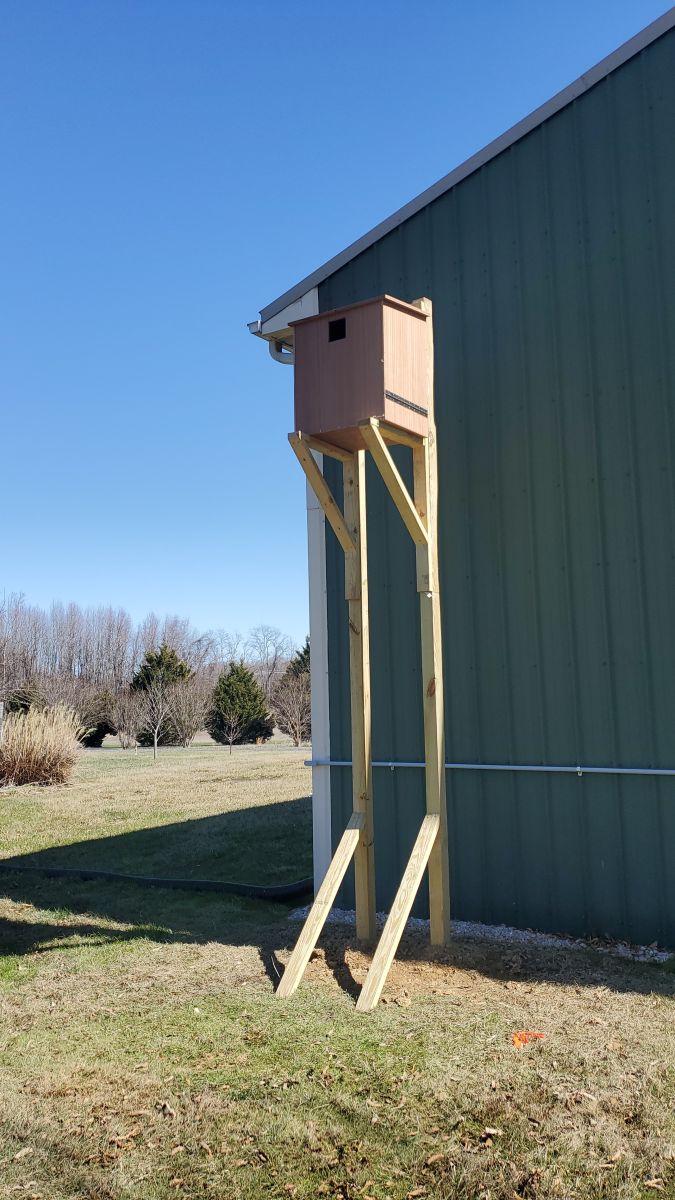 A large wooden nest box atop tall posts next to a building.