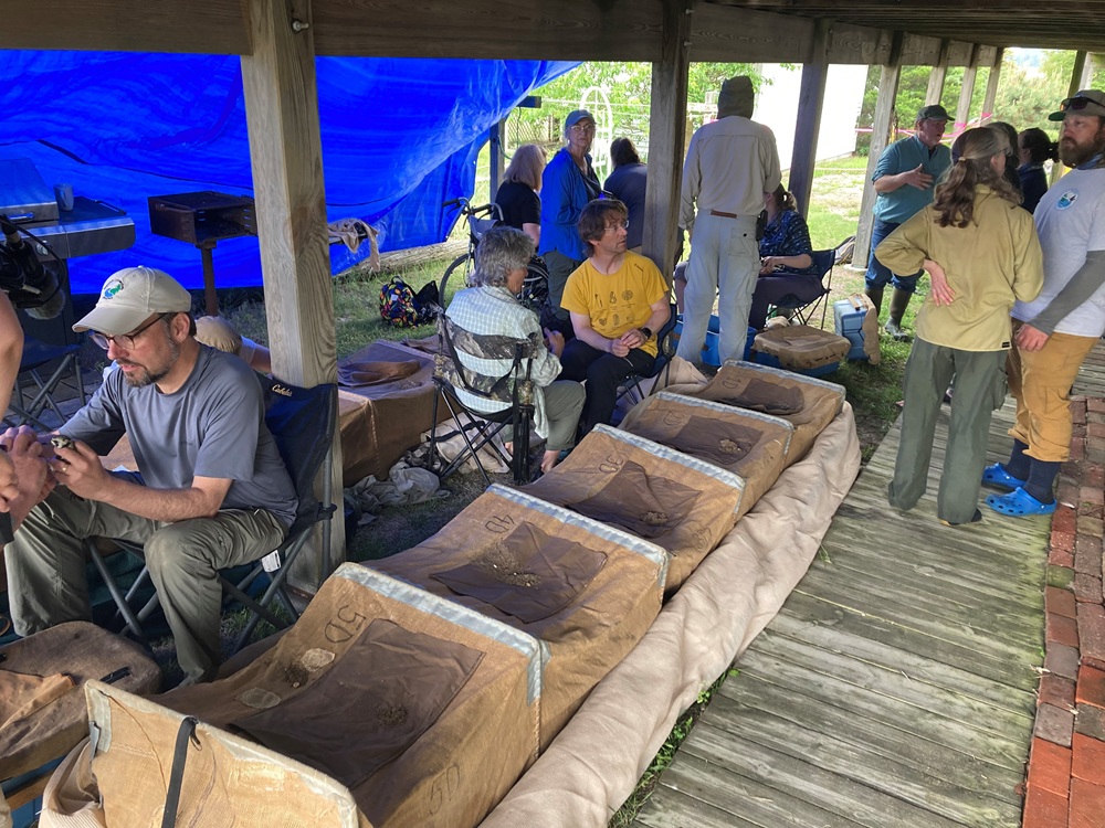 People sit under a deck and a canopy tagging small birds