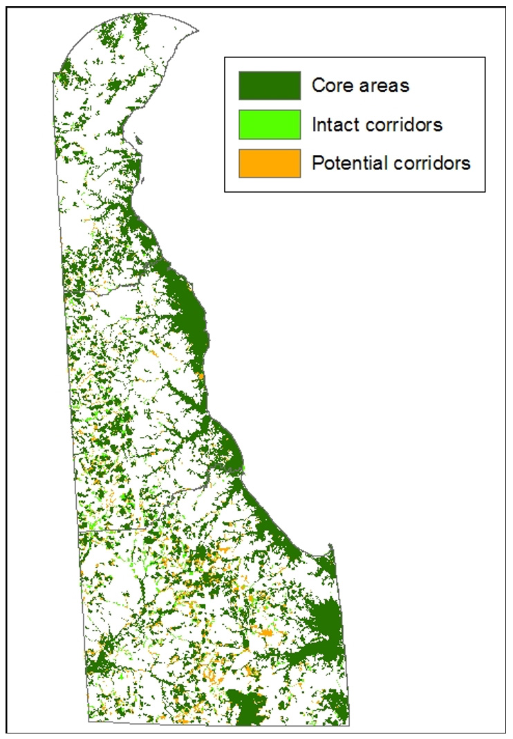 Map of the state of Delaware showing Core Areas, Intact corridors and Potential corridors.