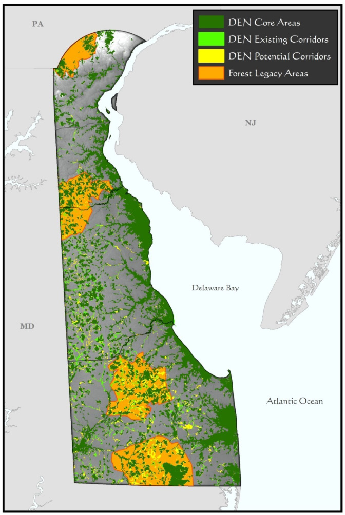 A map of Delaware showing DEN modeled Core Areas, Existing and Potential Corridors as the foundation for the DEWAP Conservation Opportunity Areas and Forest Legacy areas.