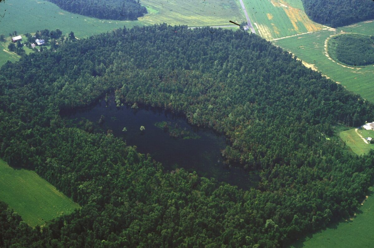 Delaware Environment Delaware’s Wildlife Habitats - DNREC