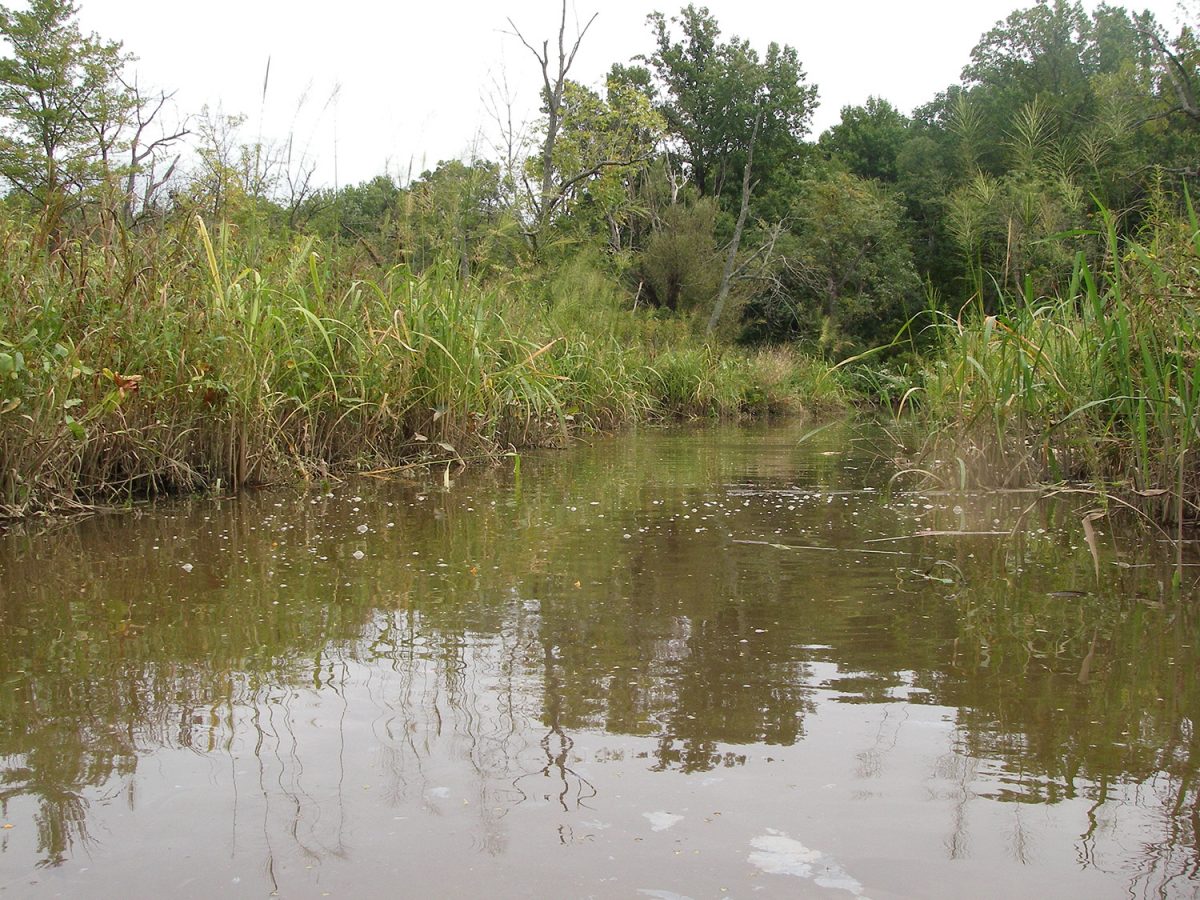 Delaware Environment Delaware’s Wildlife Habitats - DNREC