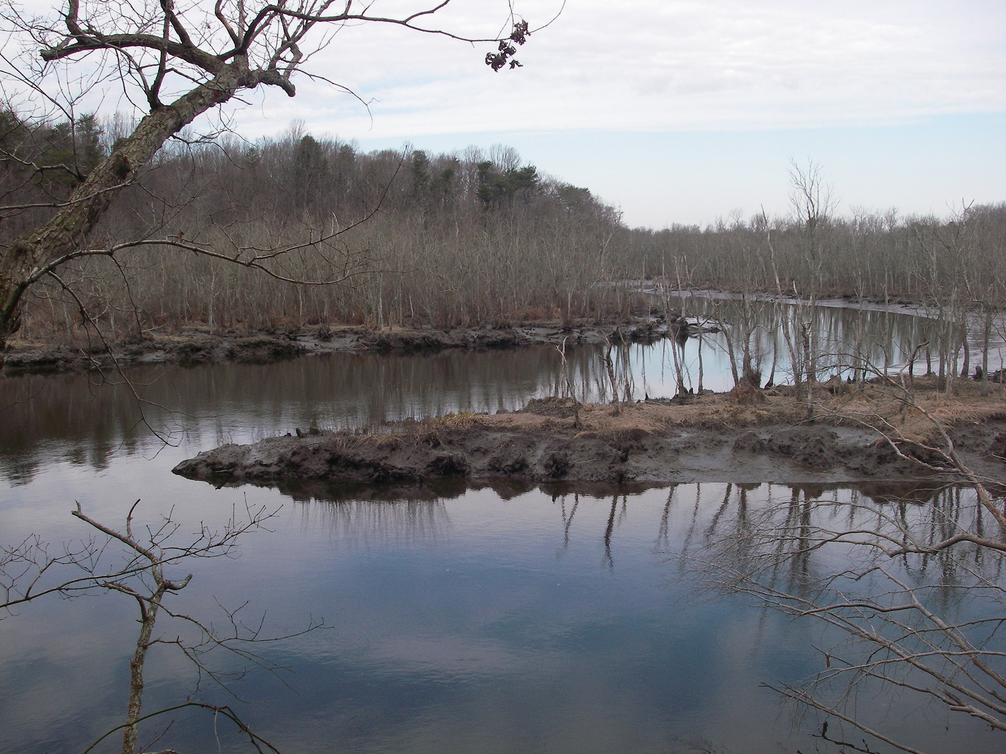 A river winds past small trees with no leaves.