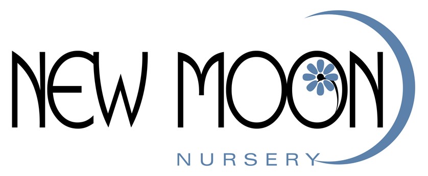 Logo with text reading New Moon Nursery.