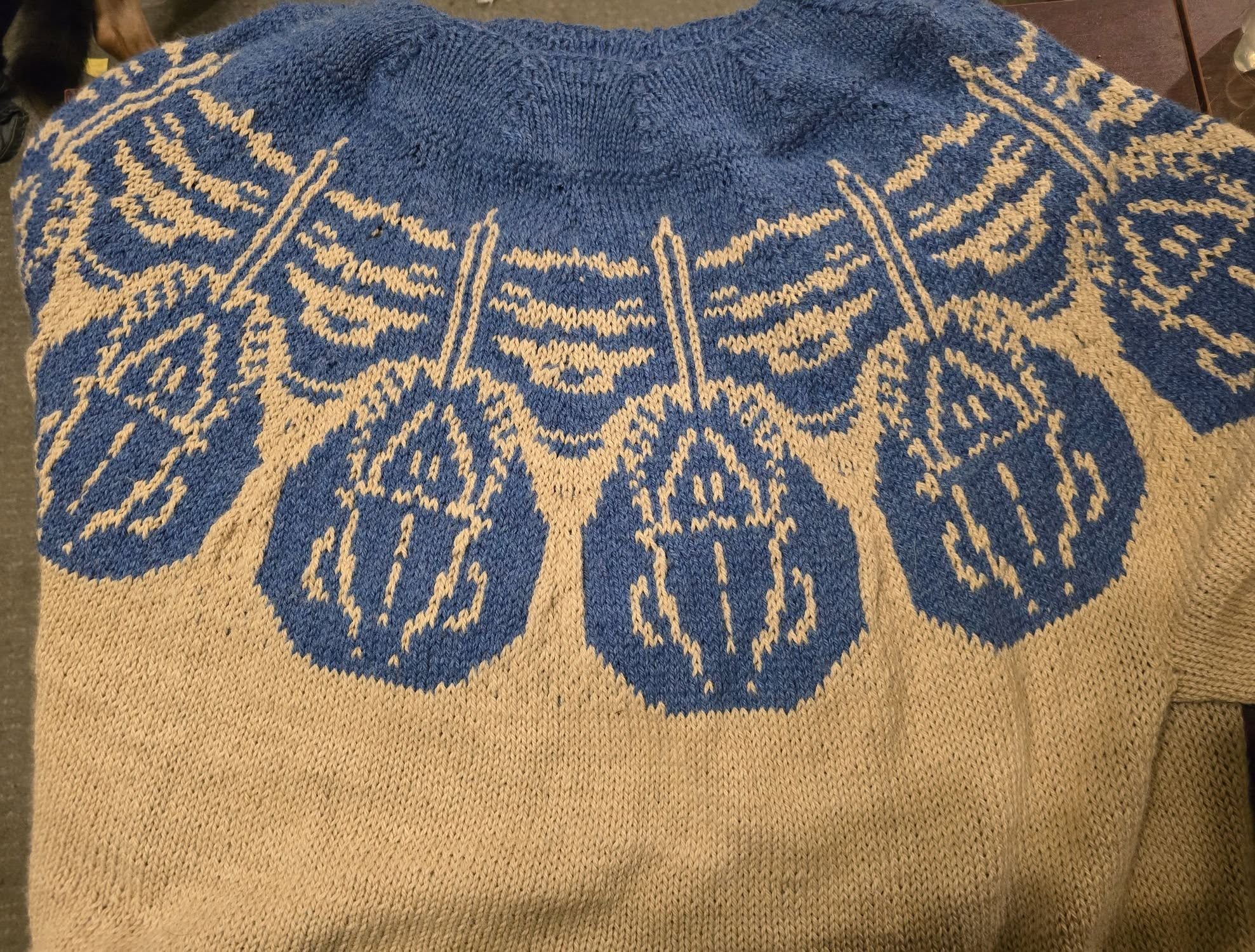 A blue and yellow sweater has a horseshoe crab pattern.