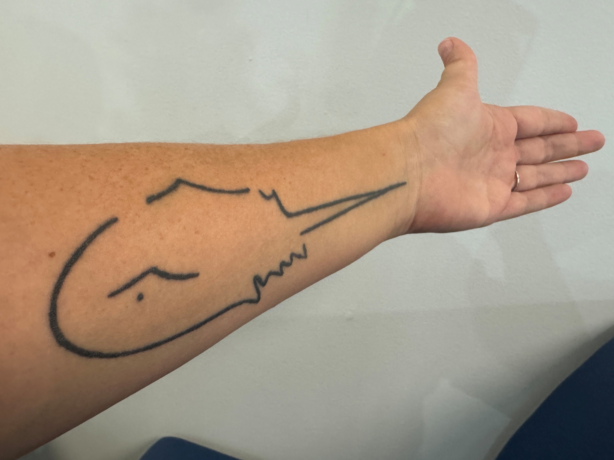 A woman shows a horseshoe crab tattoo on her forearm.