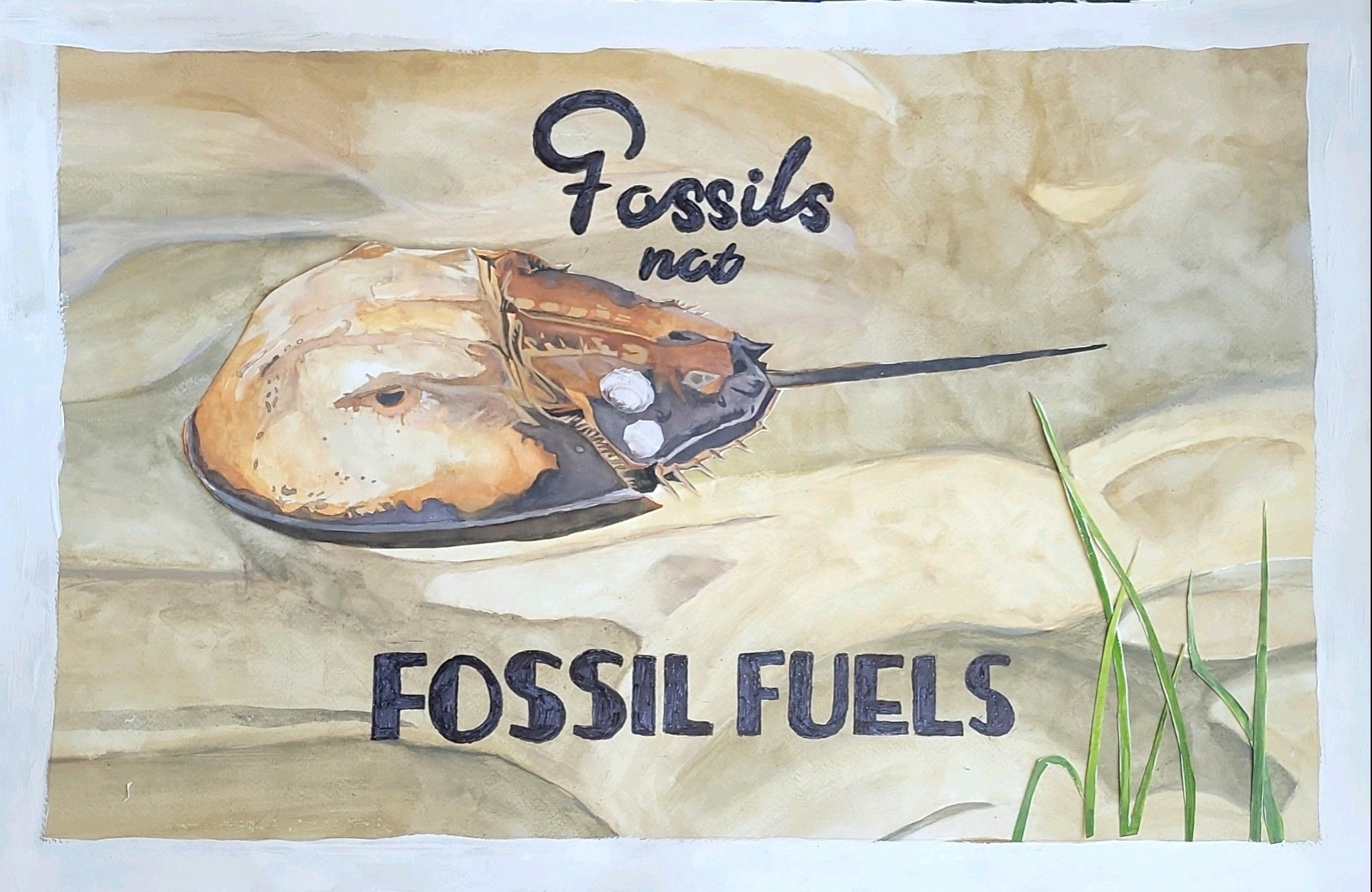 A painting promoting conservation of a horseshoe crab on the beach.