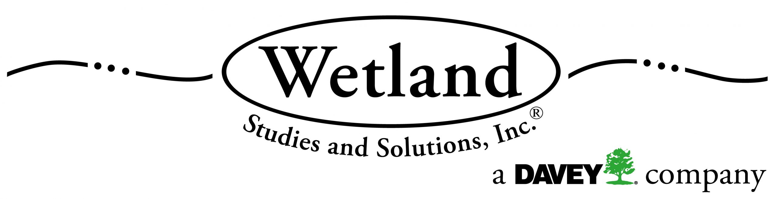 Logo and link for Wetlands Studies and Solution, Inc.