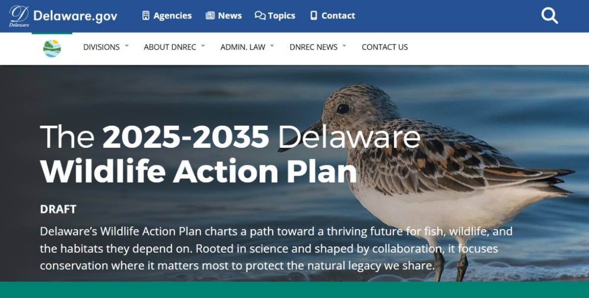 A screenshot of the top of the Delaware Wildlife Action Plan home page, showing the page title superimposed over a closeup of a shorebird.