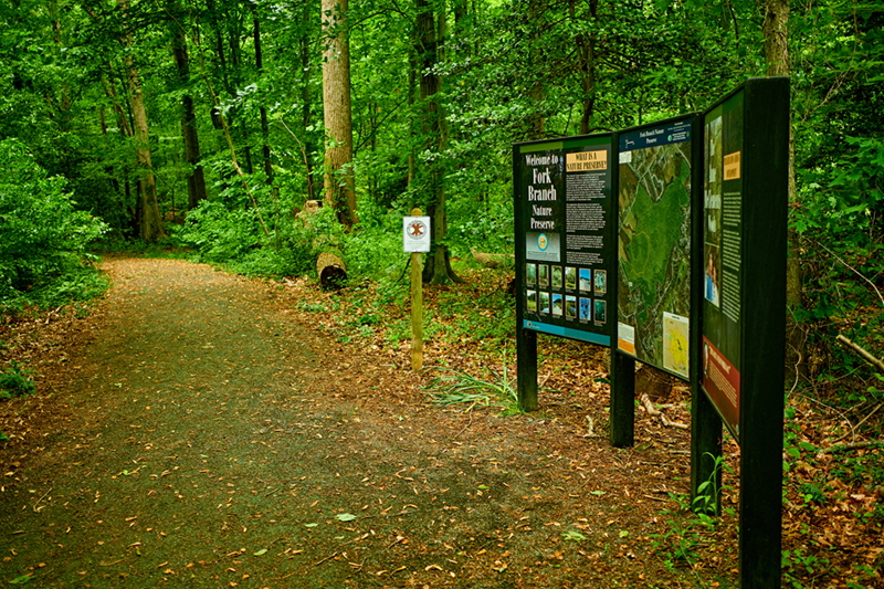 A trail leads through a forest, with a signboard to the side.