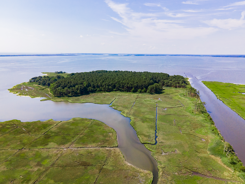 A drone view of an forested island in a bay.