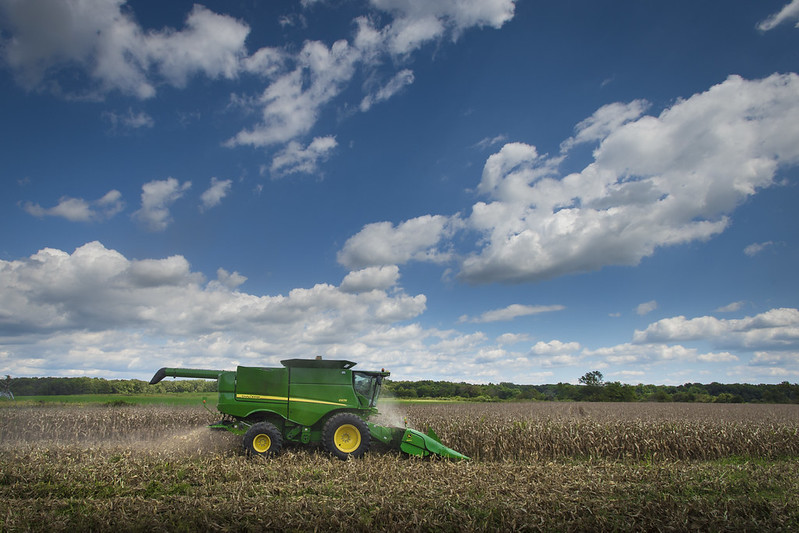 A green combine machine harvesting corn in a field.