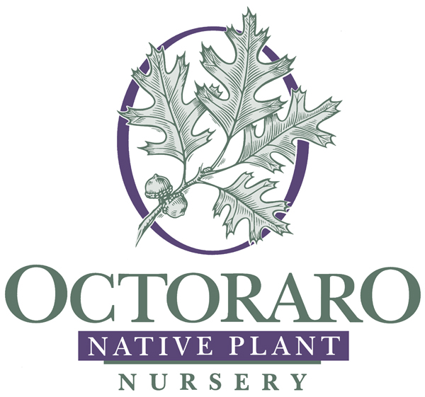 Logo of Octoraro Native Plant Nursery, with link.
