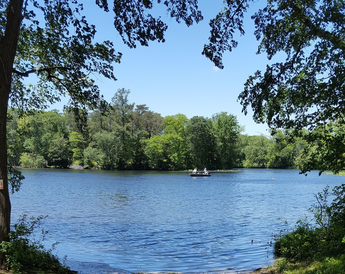 Two anglers sit on a fishing boat in the middle of a pond. The banks are lined with green tress under a blue sky.