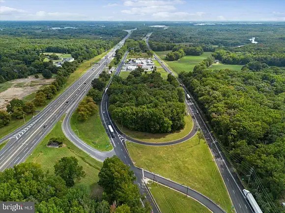 Multiple roads cutting through forest