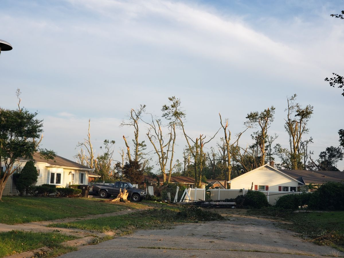 A pair of houses with damaged fences and a line of trees that has been striped by high winds or a tornado.