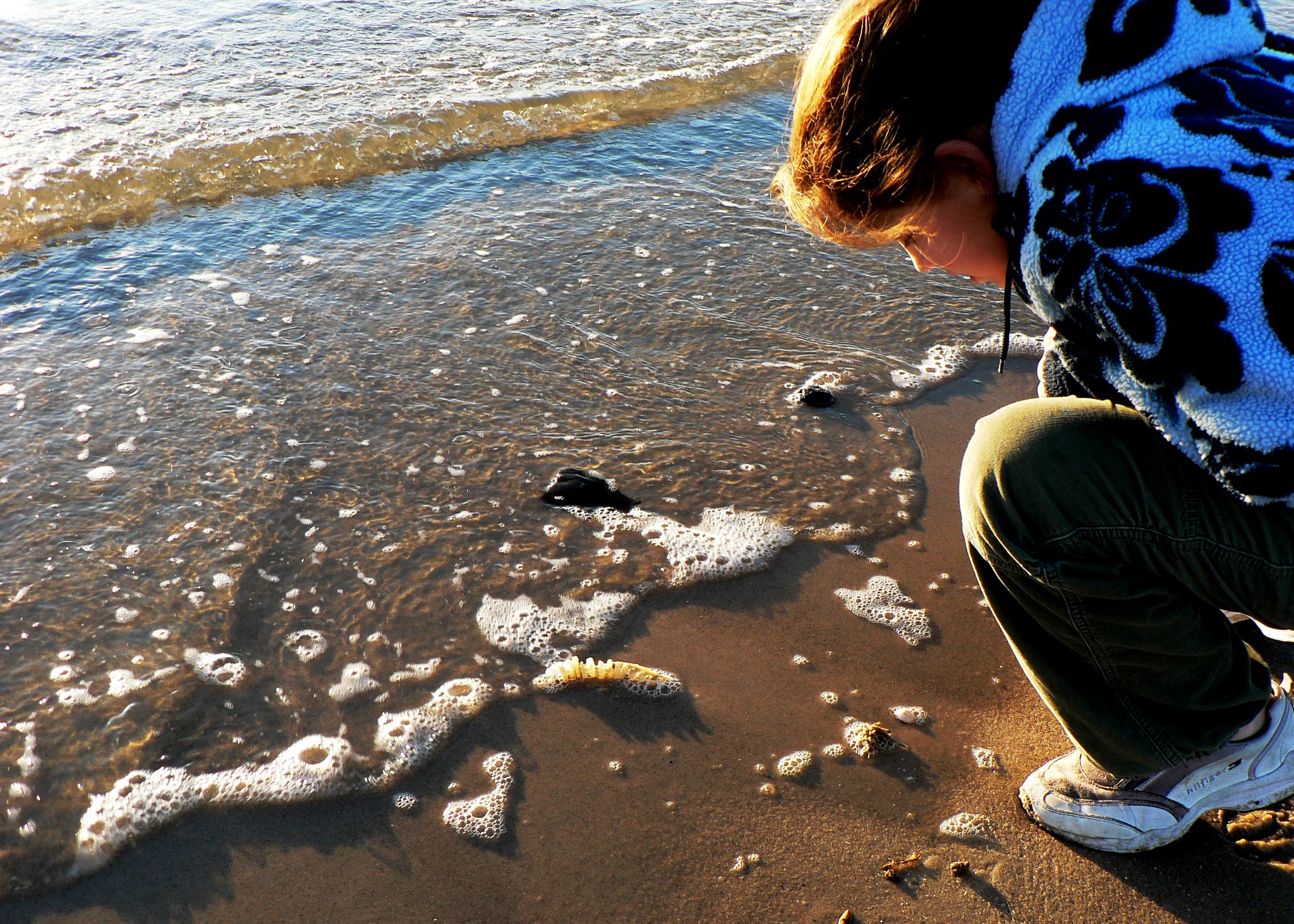 A child crouches at the water's edge to get a closer look at fish shell case that has washed ashore.