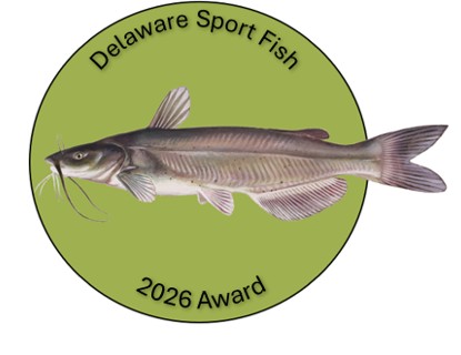 An image of a Delaware Sport Fish pin, featuring those words across the top, an image of a fish, and "2026 Award" along the bottom.
