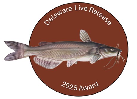 An image of a Delaware Live Release pin, featuring those words across the top, an image of a fish, and "2026 Award" along the bottom.
