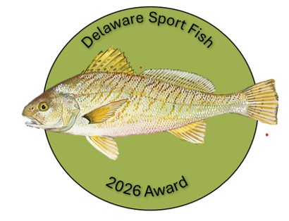 An image of a Delaware Sport Fish pin, featuring those words across the top, an image of a fish, and "2026 Award" along the bottom.