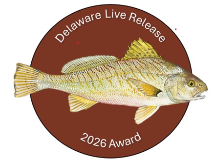 An image of a Delaware Live Release pin, featuring those words across the top, an image of a fish, and "2026 Award" along the bottom.