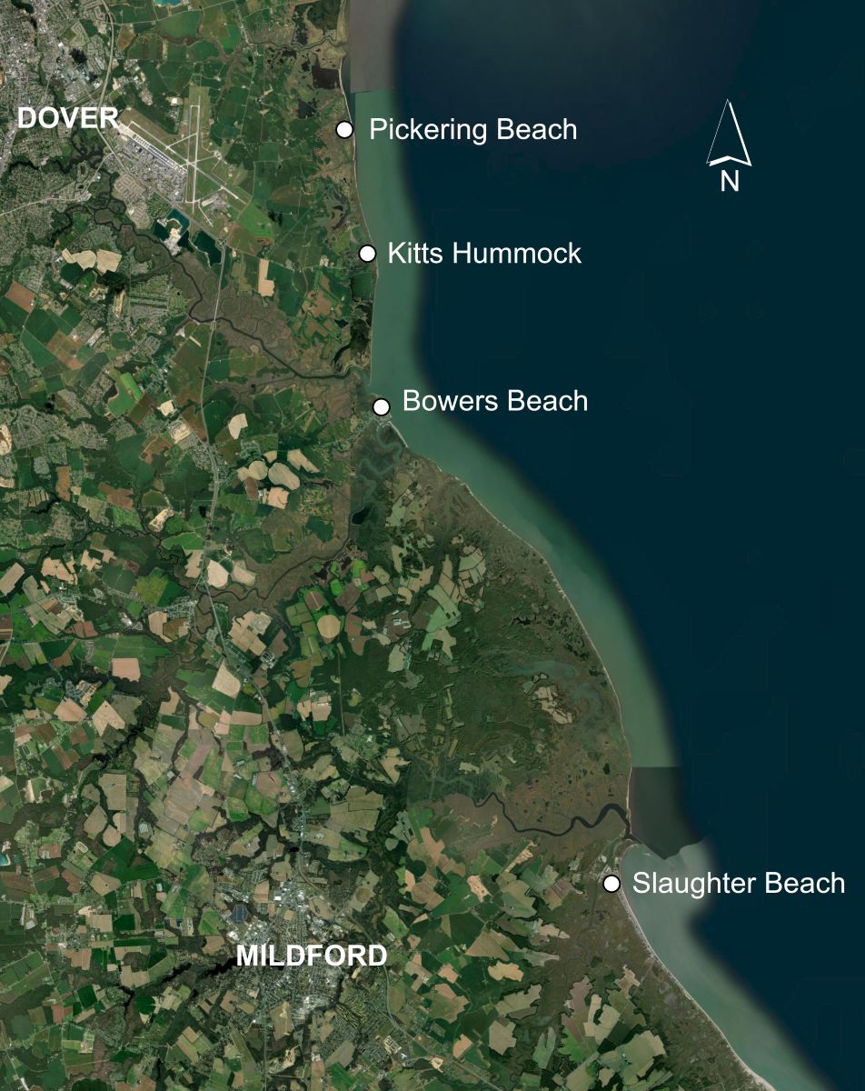A map showing the locations of Pickering Beach, Kitts Hummock, Bowers Beach and Slaughter Beach along the Delaware Bay. 