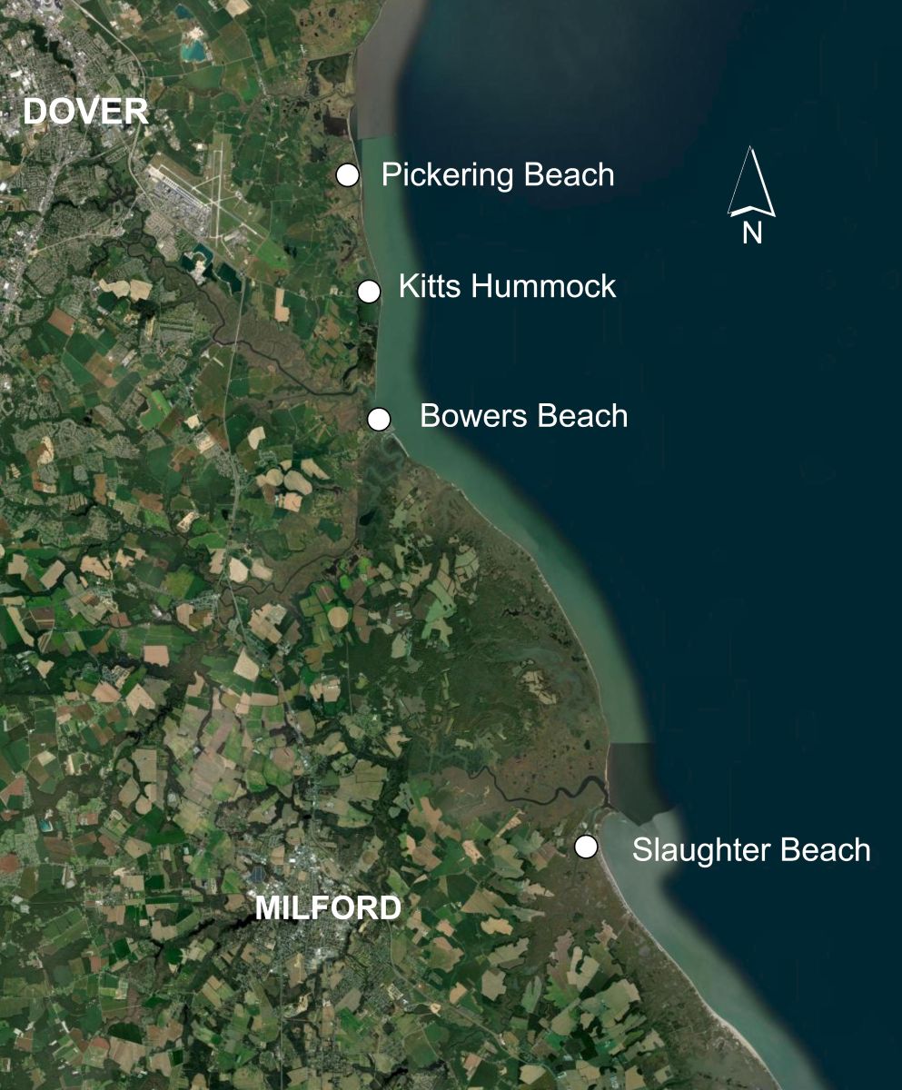 A map showing the locations of Pickering Beach, Kitts Hummock, Bowers Beach and Slaughter Beach along the Delaware Bay.