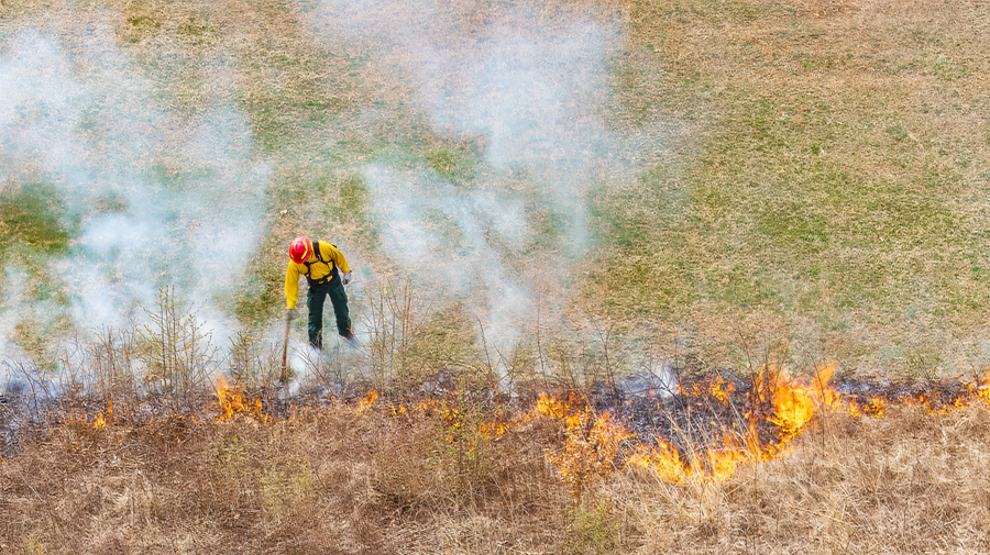 An individual in a fire-protective suit and hardhat pokes at flames in a field where a controlled burn is being held.