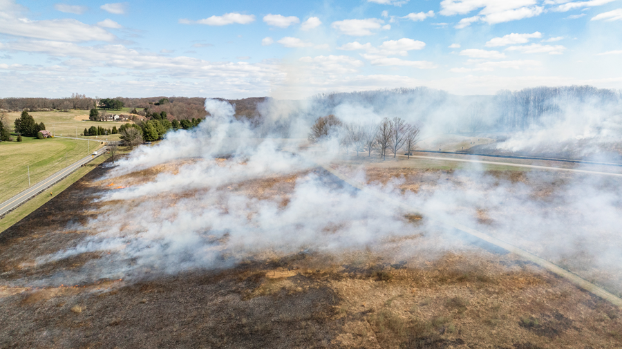 Smoke plumes rise from a field at Brandywine Creek State Park where a controlled burn was held.
