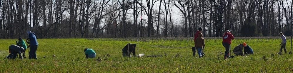 A group of volunteers plant trees in a field.