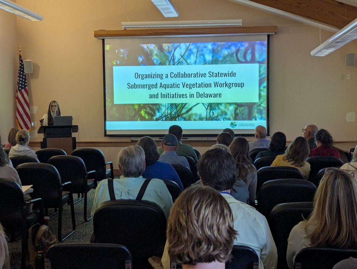 A group of people at a meeting listen to a presenter speak about organizing a submerged aquatic vegetation work group.