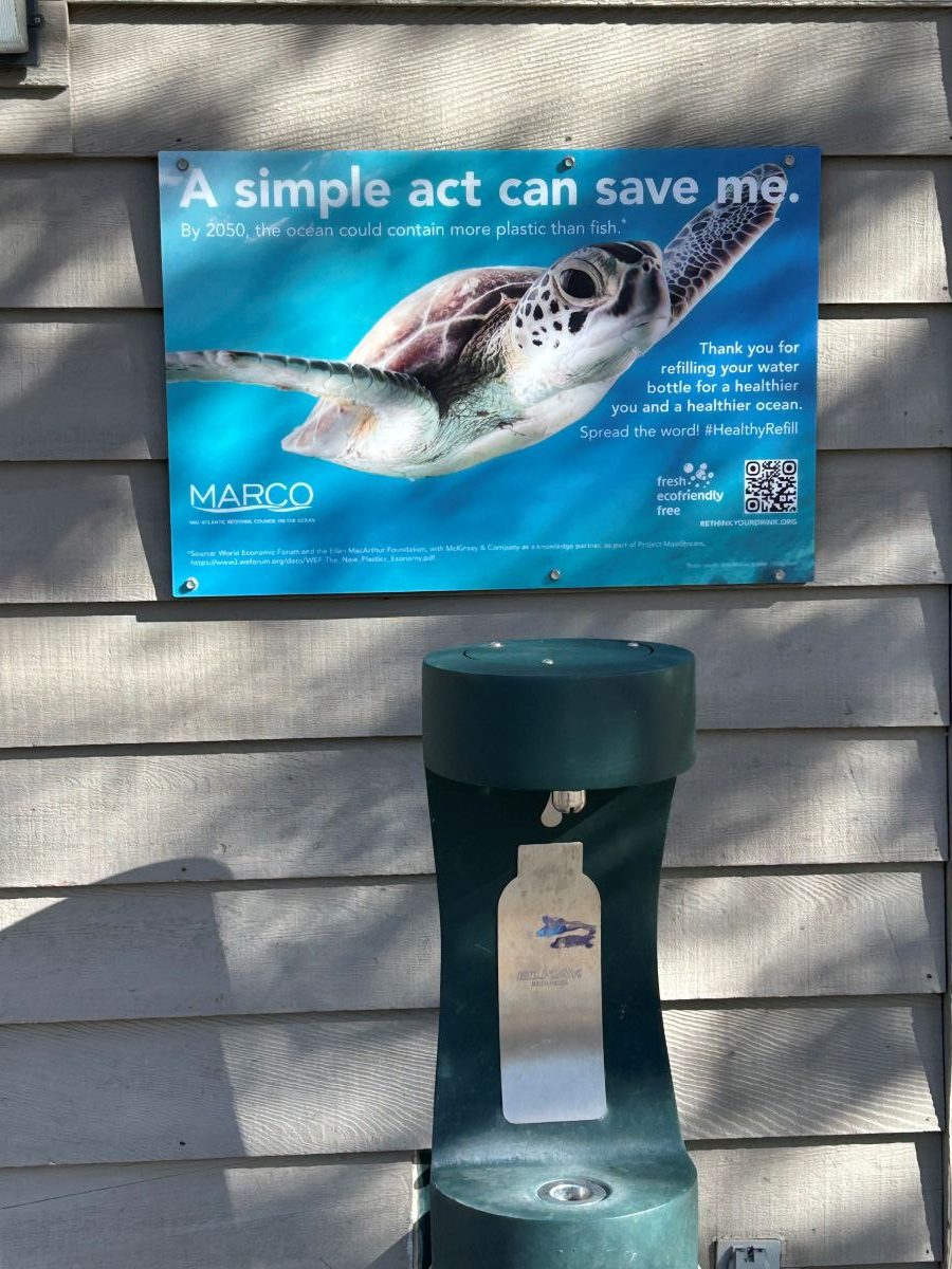 A water-bottle filling station with a poster explaining how reusable water bottles help protect marine life.