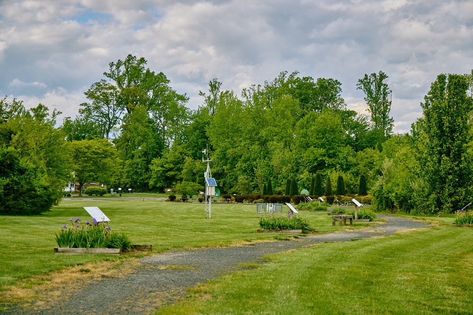 A path winds through a garden.