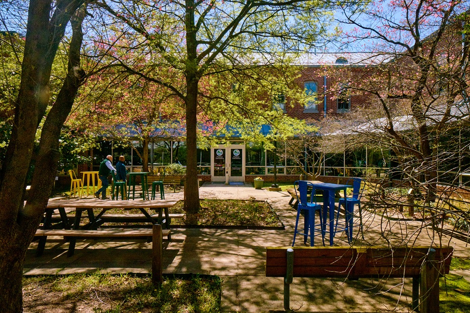 Trees bloom around a courtyard as two men walk through the area.