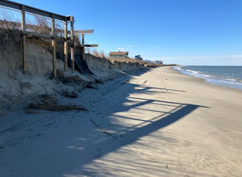 A view along the edge of a badly eroded dune on a bayfront beach.