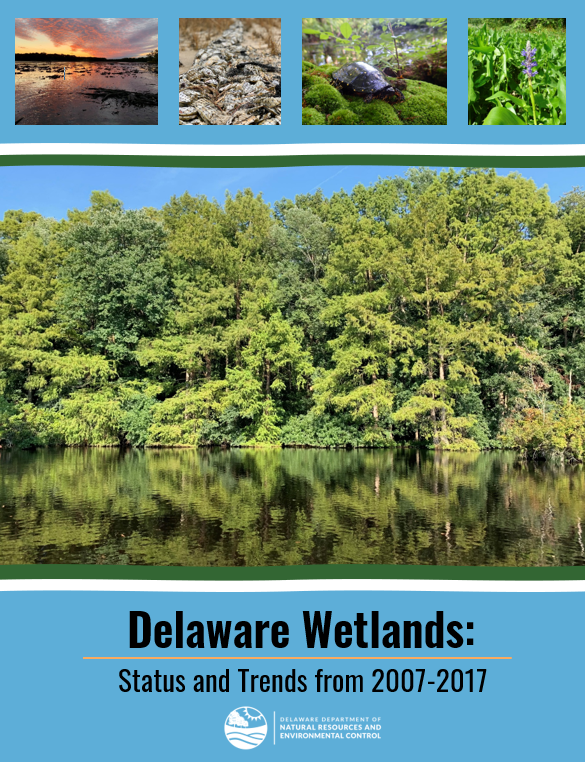 Cover of the 2007 - 2017Delaware Wetlands Status and Trends Report.