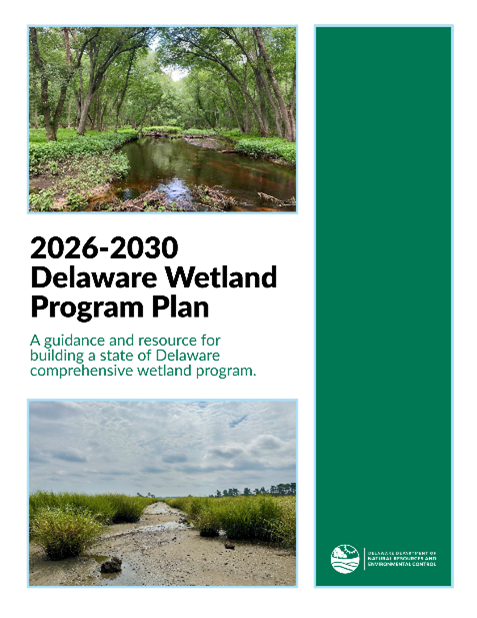 The cover of the 2026-2030 Delaware Wetland Program Plan.