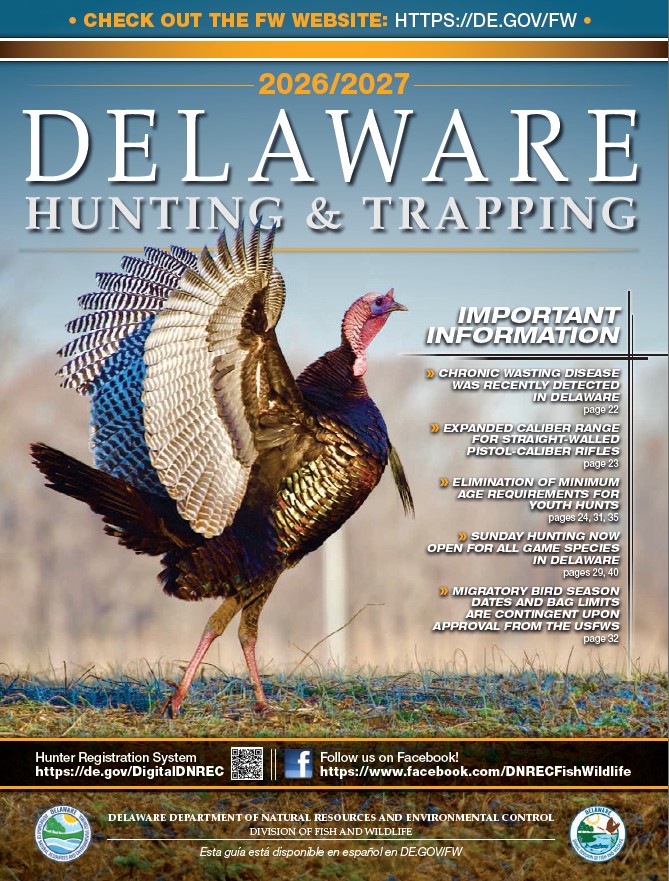 Cover of the 2026 - 2027 Delaware Hunting and Trapping Guide, featuring a Wild Turkey with wings spread wide.