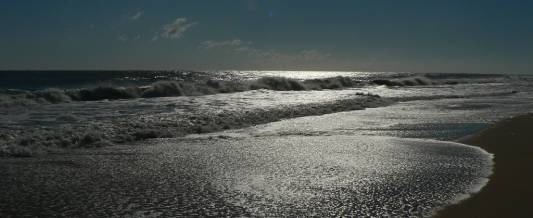 http://June%20is%20National%20Ocean%20Month