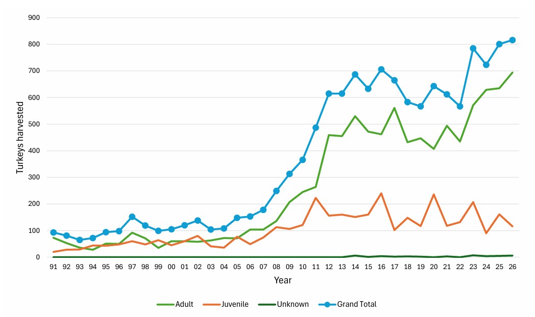 Chart showing numbers of wild turkeys harvested, by year, from 1991 to 2026.