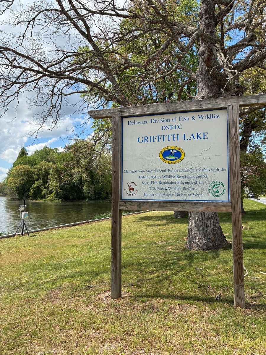 A sign standing next to a body of water identifies it as Griffith Lake.