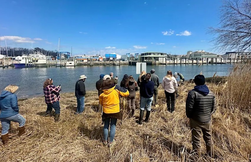A group of people stand on the shoreline of a waterway, listening to a presentation.