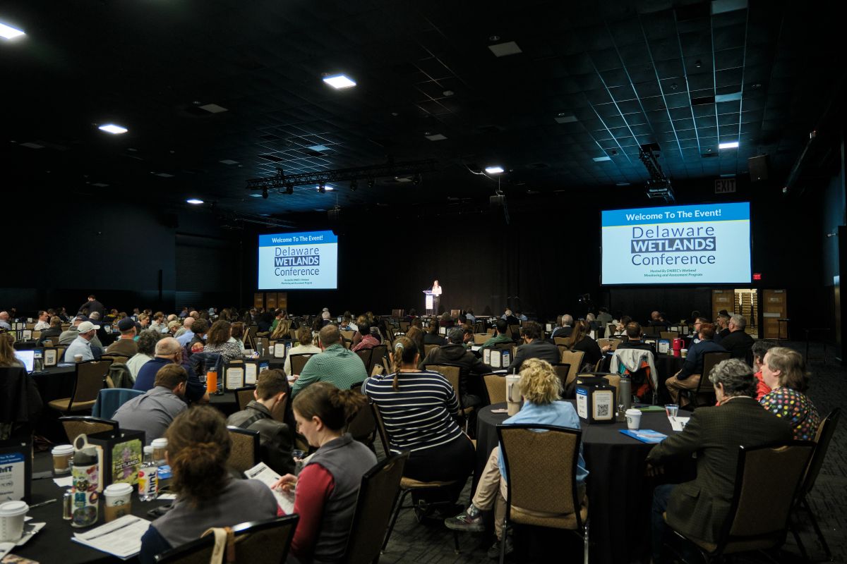A large crowd sitting at tables in a darkened hall listening to a speaker at a podium.